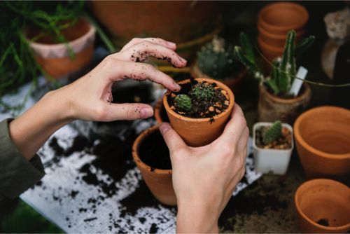 How Gardening Can Help Your Body and Your Mind