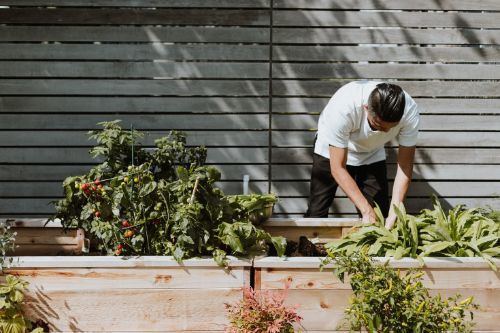 How to Celebrate Keep America Beautiful Month